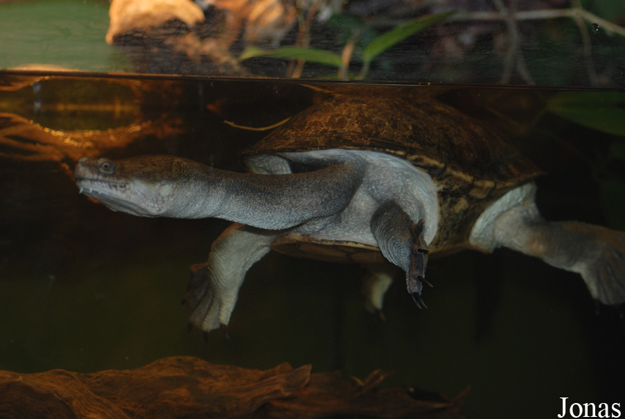 Vivarium Darmstadt