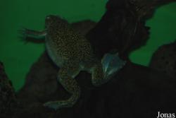 Vivarium Darmstadt