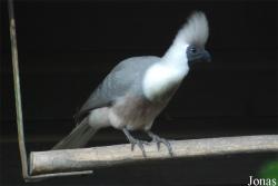Vogelpark Heppenheim