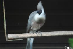 Vogelpark Heppenheim