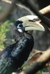 Vogelpark Heppenheim