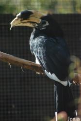 Vogelpark Heppenheim
