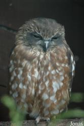 Vogelpark Niendorf