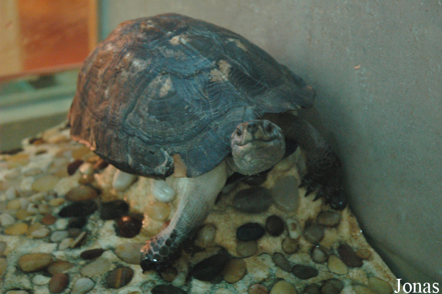 Shanghai Natural Wild-Insect Kingdom