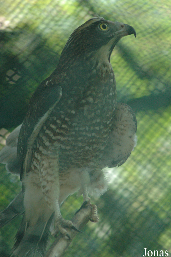 Shanghai Zoo