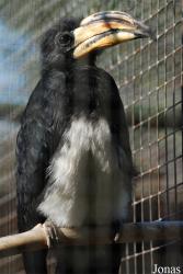Vogelpark Heppenheim