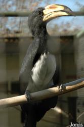 Vogelpark Heppenheim