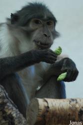 Zoo Landau in der Pfalz