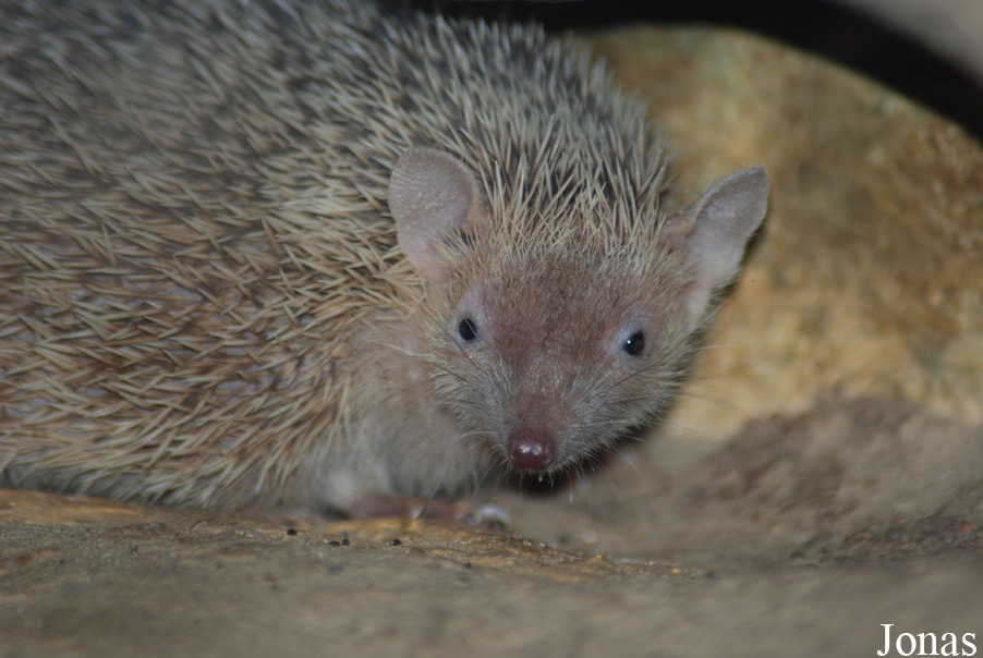 Zoo Landau in der Pfalz