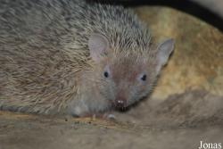 Zoo Landau in der Pfalz