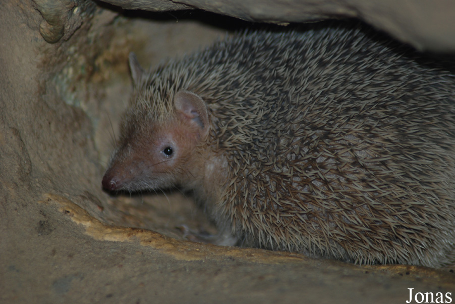 Zoo Landau in der Pfalz