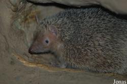 Zoo Landau in der Pfalz