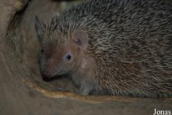 Zoo Landau in der Pfalz