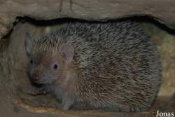 Zoo Landau in der Pfalz