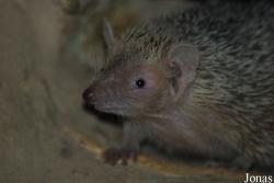 Zoo Landau in der Pfalz