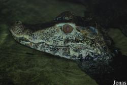Zoo Landau in der Pfalz