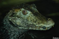 Zoo Landau in der Pfalz