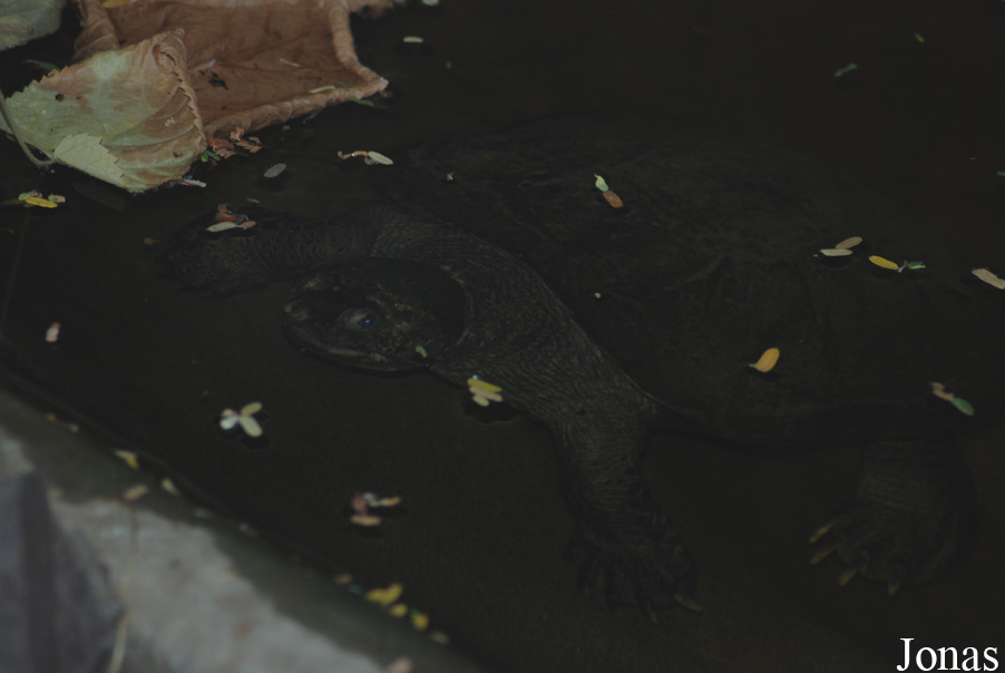 Zoo Landau in der Pfalz