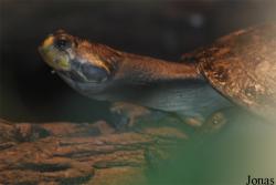 Zoo Landau in der Pfalz