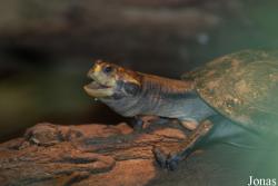 Zoo Landau in der Pfalz