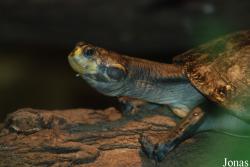 Zoo Landau in der Pfalz