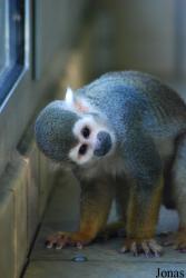 Zoo Landau in der Pfalz