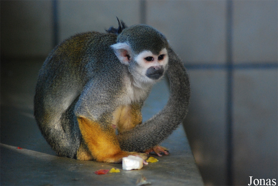 Zoo Landau in der Pfalz