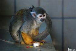 Zoo Landau in der Pfalz