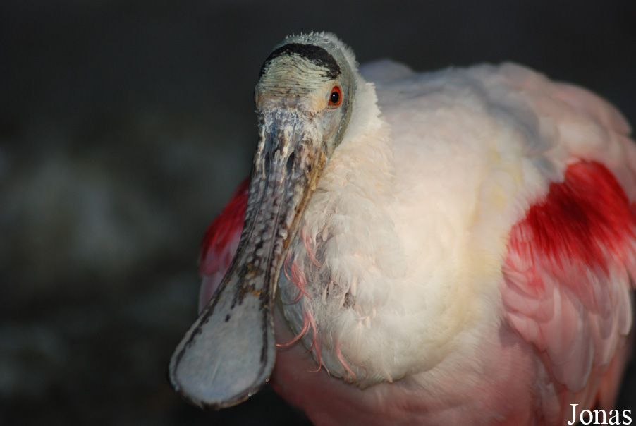 Zoo Landau in der Pfalz