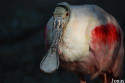 Zoo Landau in der Pfalz