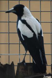 Zoo Landau in der Pfalz