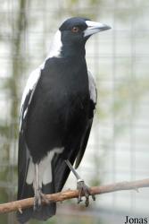 Zoo Landau in der Pfalz