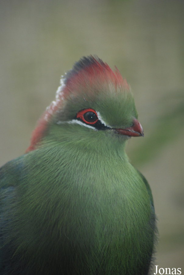 Zoo Landau in der Pfalz
