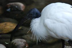 Zoo Landau in der Pfalz