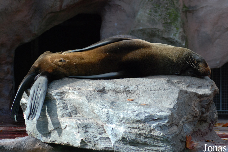 Zoo Landau in der Pfalz