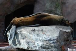 Zoo Landau in der Pfalz