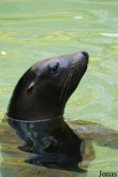 Zoo Landau in der Pfalz