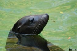 Zoo Landau in der Pfalz