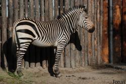 Zoo Landau in der Pfalz