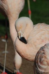 Zoo Landau in der Pfalz