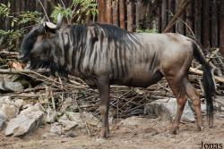 Zoo Landau in der Pfalz