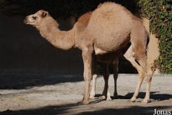 Zoo Landau in der Pfalz