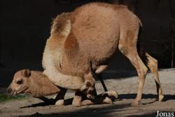 Zoo Landau in der Pfalz