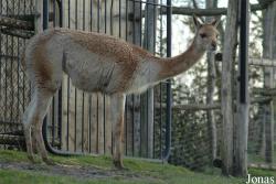Diergaarde Blijdorp