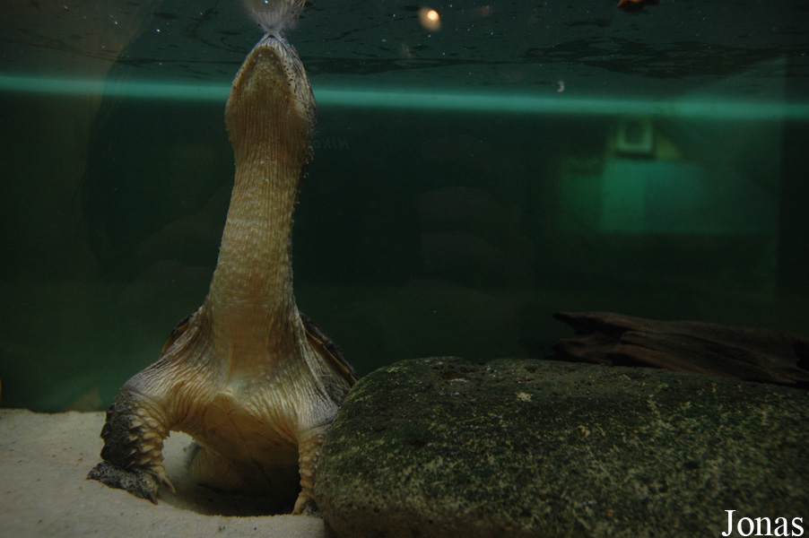Aquarium de l'Université de Liège