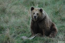 Parc Animalier de Sainte-Croix
