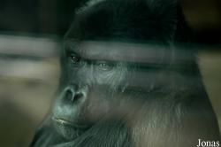 Zoo Antwerpen