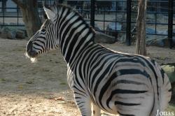Zoo Antwerpen