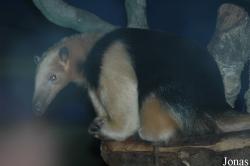 Zoo Antwerpen