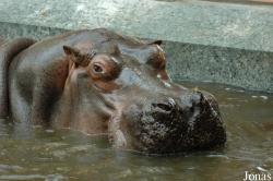 Zoo Antwerpen